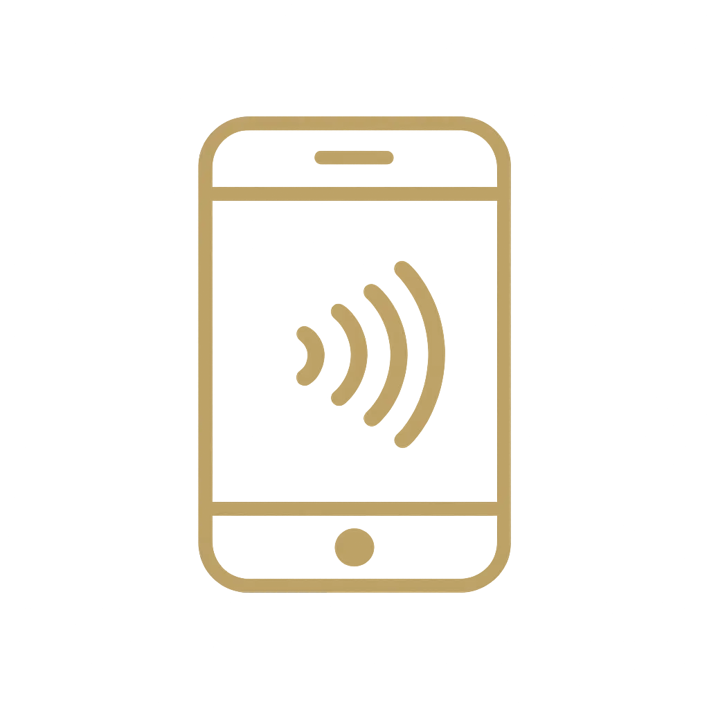 Apple Pay payment method icon